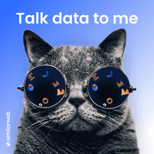 A cat wearing sunglasses where symbols and plots appear from the center of each glass and move outwards (as if you're flying through them) and the text 'talk data to me'.